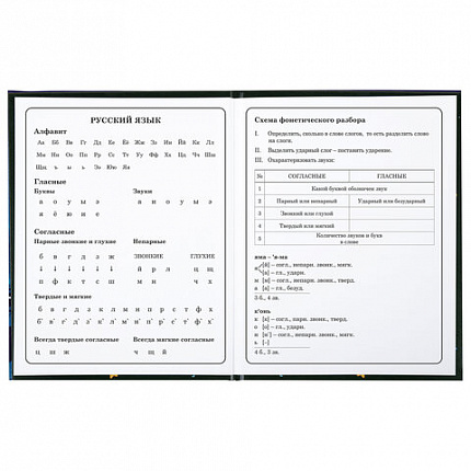 Дневник 1-4 класс 48 л., твердый, BRAUBERG, глянцевая ламинация, с подсказом, "CATS & DUCK", 106831