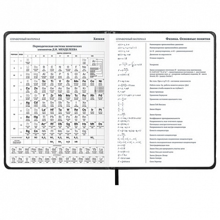 Дневник 1-11 класс 48 л., кожзам (твердая с поролоном), нашивка, BRAUBERG IGUANA, черный, 107225