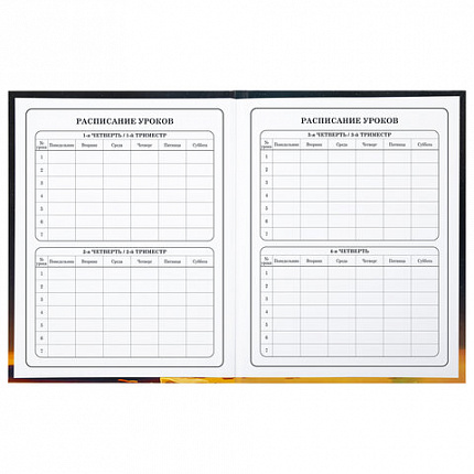 Дневник 1-4 класс 48 л., твердый, BRAUBERG, глянцевая ламинация, с подсказом, "Милый котик", 106835