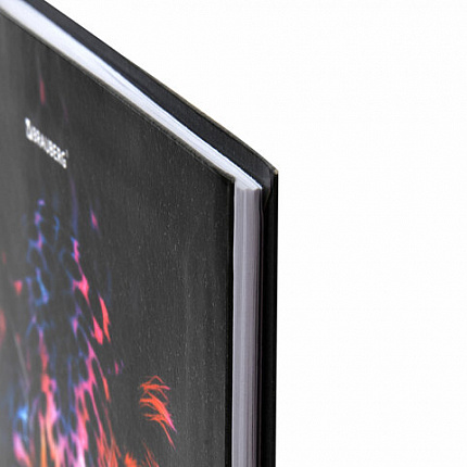 Дневник 5-11 класс 48 л., гибкая обложка, BRAUBERG, глянцевая ламинация, с подсказом, "Гепард", 106862