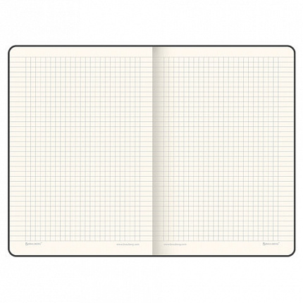 Блокнот А5 (148х218 мм), BRAUBERG "Income", 128 л., гладкий кожзаменитель, клетка, черный, 125208