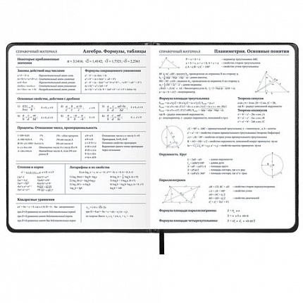 Дневник 1-11 класс 48 л., кожзам (твердая с поролоном), нашивка, BRAUBERG IGUANA, черный, 107225