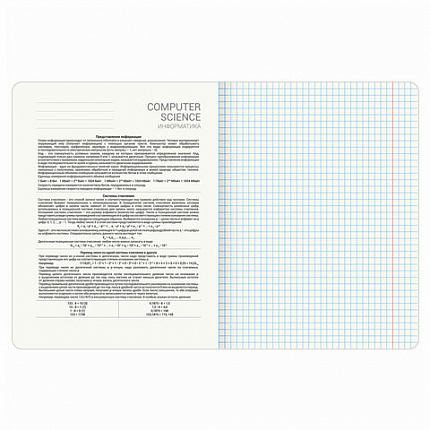 Тетрадь предметная "КОТ-ЭНТУЗИАСТ" 48 л., TWIN-лак, ИНФОРМАТИКА, клетка, подсказ, BRAUBERG, 404562