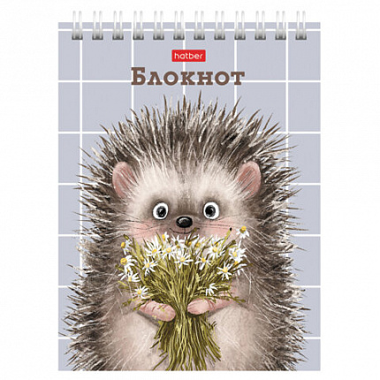 Блокнот МАЛЫЙ ФОРМАТ А6, 40 л., гребень, картон, клетка, HATBER, "Хорошо быть ёжиком", 080472, 40Б6В1гр