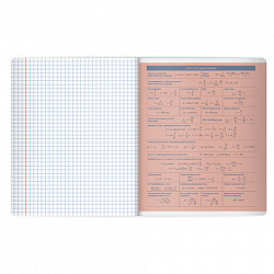 Тетрадь предметная MonoPastel 48 л., пластиковая обложка, ФИЗИКА, клетка, подсказ, BRAUBERG, 405511