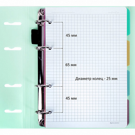 Тетрадь на кольцах А5 175х220мм, 120л, пластик, на липучке, с разделителями, BRAUBERG, Черный, 404638