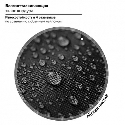 Рюкзак BRAUBERG SOFT, 2 отделения, 3 кармана, "Cool cat", СВЕТЯЩИЙСЯ, 40х31х15 см, 273118