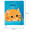 Дневник 1-11 класс 48 л., твердый, BRAUBERG, матовая ламинация, резинка, закладка-ляссе, с подсказом, "Котик", 107239