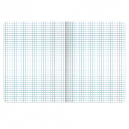 Тетради предметные, КОМПЛЕКТ 12 ПРЕДМЕТОВ 48л, пластиковая обложка, BRAUBERG "PURE NATURE", 405543