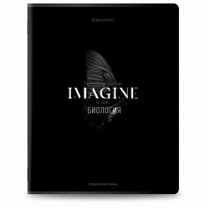 Тетради предметные, КОМПЛЕКТ 12 ПРЕДМЕТОВ, 48 л., матовая ламинация, BRAUBERG "SHADOWS", 405176