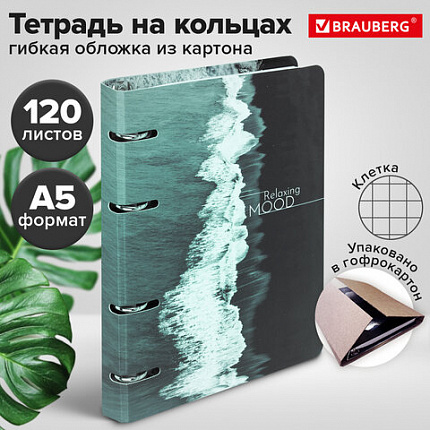Тетрадь на кольцах А5 160х212 мм, 120 листов, картон, матовая ламинация, клетка, BRAUBERG, "Relax", 404725