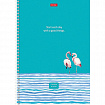 Тетрадь А4, 80 л., HATBER, гребень, линия, обложка картон, "Ассорти" (микс в спайке), 066144, 80Т4В2гр