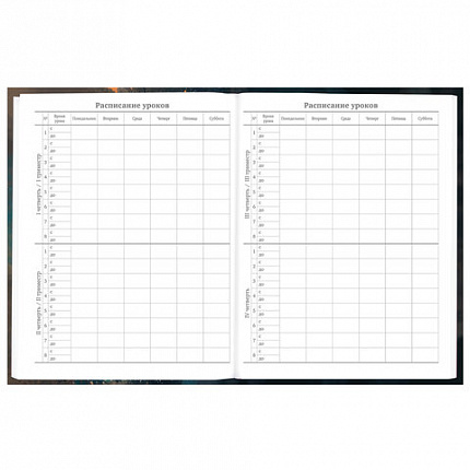 Дневник 5-11 класс 48 л., гибкая обложка, BRAUBERG, глянцевая ламинация, с подсказом, "Cat", 107181