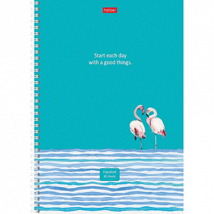 Тетрадь А4, 80 л., HATBER, гребень, линия, обложка картон, "Ассорти" (микс в спайке), 066144, 80Т4В2гр