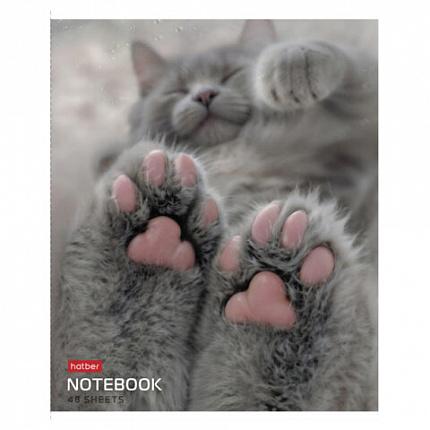 Тетрадь А5 48 л., HATBER скоба, клетка, обложка картон, "Розовые лапки" (микс в спайке), 090370, 48Т5В1