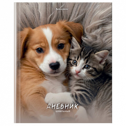 Дневник 5-11 класс 48л, твердый, BRAUBERG, глянцевая ламинация, с подсказом, МИКС УНИВЕРСАЛЬНЫЙ, 107612
