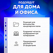 Папки-файлы перфорированные БОЛЬШОЙ ВМЕСТИМОСТИ до 250 л., А4, КОМПЛЕКТ 10 шт., 180 мкм, BRAUBERG, 226833