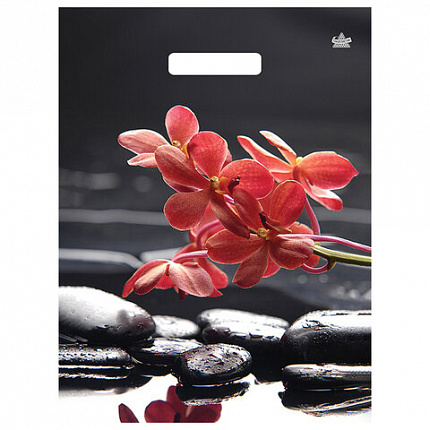 Пакет с вырубной ручкой ПВД ламинированный, 40х31 см, "Гармония", 60 мкм, н00268708