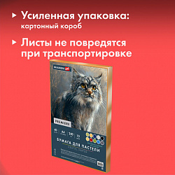 Бумага для пастели АБРАЗИВНАЯ А4 в коробке, 40 листов, 10 цветов, 240 г/м2, BRAUBERG ART, 117767