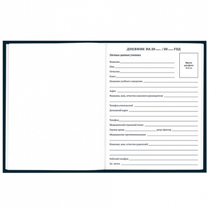 Дневник 1-11 класс 40 л., твердый, BRAUBERG, матовая ламинация, "Dragon", 107178