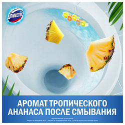Блок туалетный подвесной твердый 2х50 г + 3х50 г, ДОМЕСТОС "Свежесть цитруса и цветочный букет"