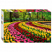 Пазл картонный 500 элементов, АССОРТИ, поле 50х34,5 см, STEP PUZZLE