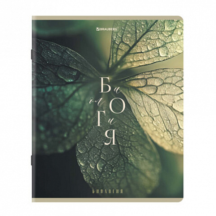 Тетради предметные, КОМПЛЕКТ 12 ПРЕДМЕТОВ 48л, пластиковая обложка, BRAUBERG "PURE NATURE", 405543