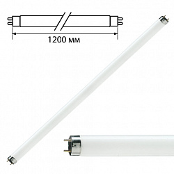 Лампа люминесцентная PHILIPS TL-D 36W/33-640, 36 Вт, цоколь G13, в виде трубки 120 см