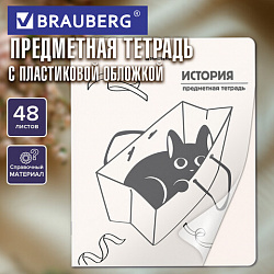 Тетрадь предметная КОТ-НЕПОСЕДА 48 л., пластиковая обложка, ИСТОРИЯ, клетка, подсказ, BRAUBERG, 405534