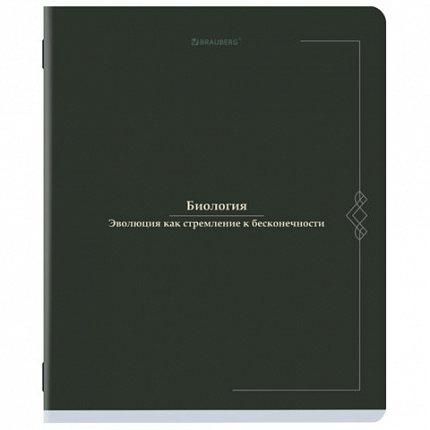 Тетради предметные, КОМПЛЕКТ 12 ПРЕДМЕТОВ, 48 л., SoftTouch, BRAUBERG "VINTAGE", 405183