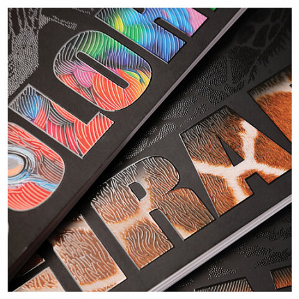 Тетрадь А4 96 л., HATBER, гребень, клетка, матовая ламинация, 3D-лак, "Animals print" (микс), 085842, 96Т4лолВ1гр