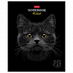 Тетрадь А5, 48 л., HATBER, скоба, клетка, матовая ламинация, 3D-лак, "Black Cat" (микс в спайке), 093159, 48Т5лолВ1