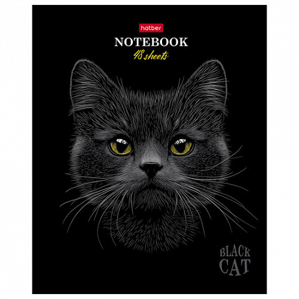 Тетрадь А5, 48 л., HATBER, скоба, клетка, матовая ламинация, 3D-лак, "Black Cat" (микс в спайке), 093159, 48Т5лолВ1