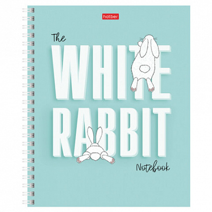 Тетрадь А5, 48 л., HATBER гребень, клетка, обложка картон, "Следуй за белым кроликом" (микс), 087016, 48Т5В1гр