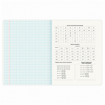 Тетради предметные, КОМПЛЕКТ 12 ПРЕДМЕТОВ, 48 л., TWIN лак, BRAUBERG "ASIA", 405174