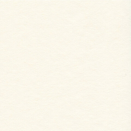 Скетчбук, слоновая кость, 100 г/м2, 210х148 мм, 110 л., книжный твердый переплет, BRAUBERG ART, 113186