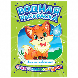 Раскраска водная с цветным контуром, 195х276 мм, 16 стр., АССОРТИ, ПП