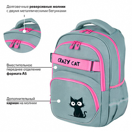 Рюкзак BRAUBERG MOTION, 2 отделения, 3 кармана, "Crazy cat", 41х28х17 см, 273115