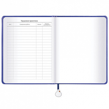 Дневник 1-11 класс 48 л., кожзам (твердая с поролоном), печать, ляссе с аппликацией, BRAUBERG, "Гуси", 107233