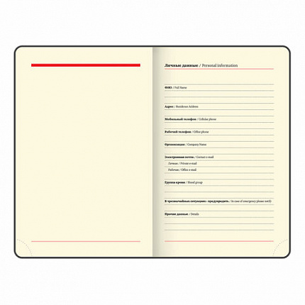 Ежедневник недатированный МАЛЫЙ ФОРМАТ 100x150 мм А6 BRAUBERG "Iguana", под кожу, 160 л., синий, 114467