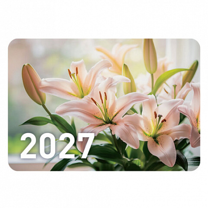 Календарь карманный на 2027 г, BRAUBERG, 64х93 мм, АССОРТИ, 20 дизайнов (60 штук), 118489