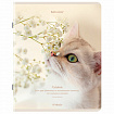 Тетрадь А5, 48 л., BRAUBERG, скоба, клетка, матовая ламинация, "Cats", (микс в спайке), 405334