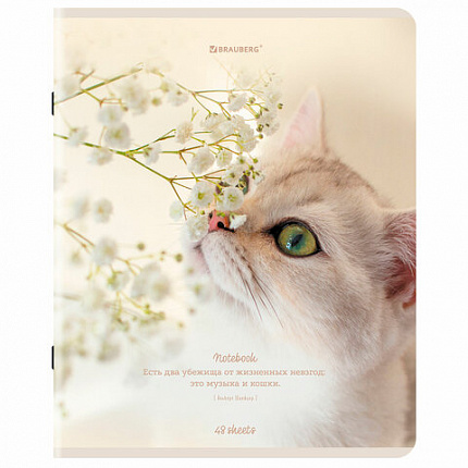 Тетрадь А5, 48 л., BRAUBERG, скоба, клетка, матовая ламинация, "Cats", (микс в спайке), 405334