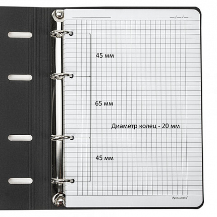 Тетрадь на кольцах А5 (180х220 мм), 80 листов, под кожу, клетка, тиснение фольгой, BRAUBERG VISTA, Gradient, 112131