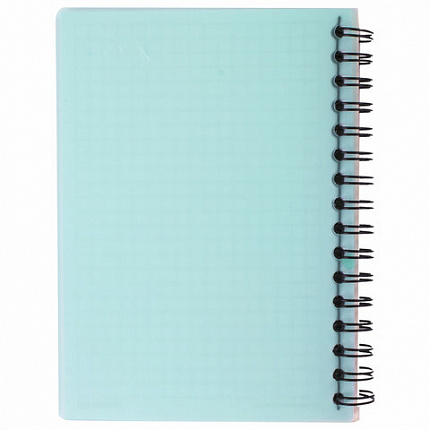 Блокнот МАЛЫЙ ФОРМАТ А6 105х145 мм, 80 л., гребень, пластик, клетка, BRAUBERG, "Офисный", 125399