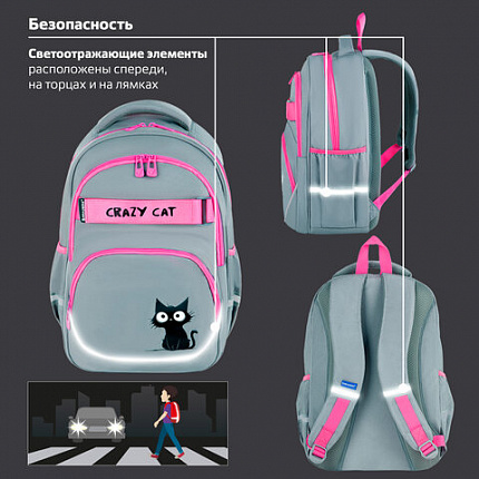 Рюкзак BRAUBERG MOTION, 2 отделения, 3 кармана, "Crazy cat", 41х28х17 см, 273115