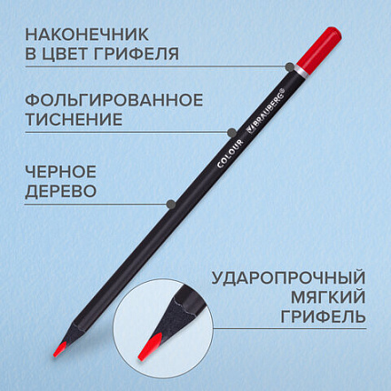 Карандаши цветные чёрное дерево BRAUBERG BLACK WOOD, 24 цвета, трехгранный корпус, грифель мягкий 3 мм, 181949
