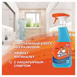 Средство для мытья стекол и зеркал 530 мл, МИСТЕР МУСКУЛ "После дождя", распылитель