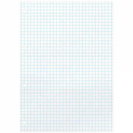 Сменный блок для тетради на кольцах А5, 160 л., BRAUBERG, "Белый", 404613