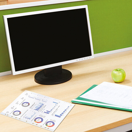 Папки-файлы перфорированные А4 BRAUBERG "EXTRA 1000", КОМПЛЕКТ 50 шт., матовые, ПЛОТНЫЕ, 100 мкм, 229671